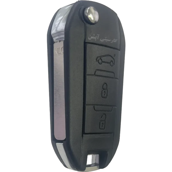v1-remote-tara