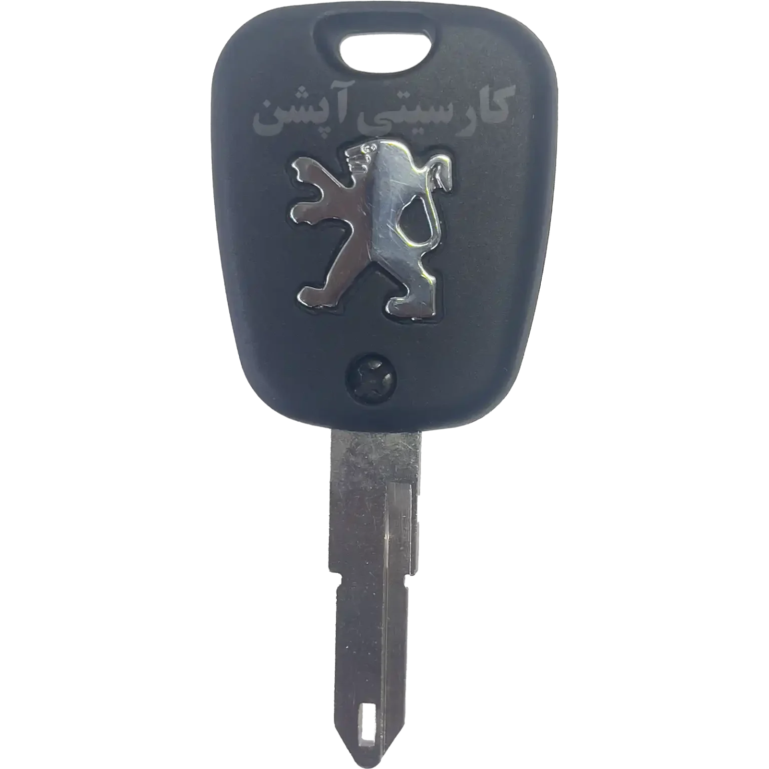 نمای پشت رینوت 206 فرانسه (چینی)