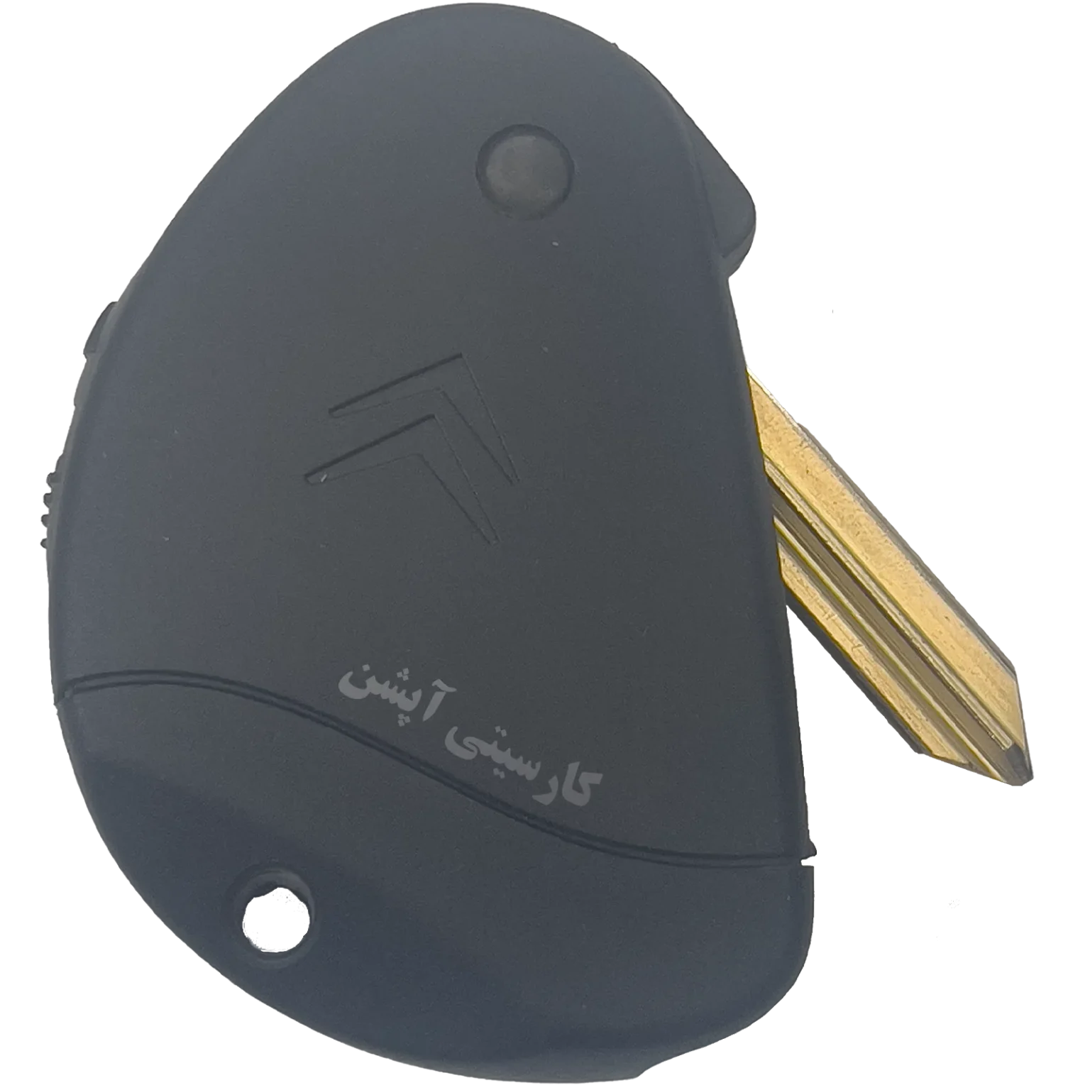 تعریف ریموت زانتیا با دستگاه دیاگ تخصصی در اصفهان